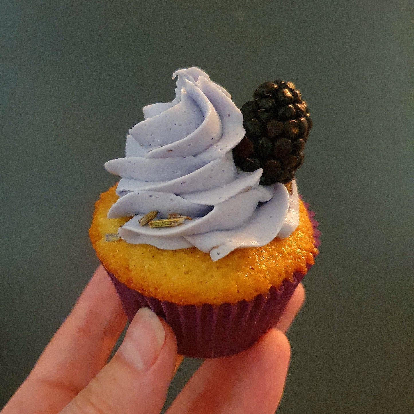Lavender Blackberry Cupcakes